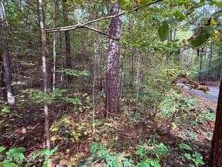 Side View - Bates Gibson Rd, Sevierville, TN 37876