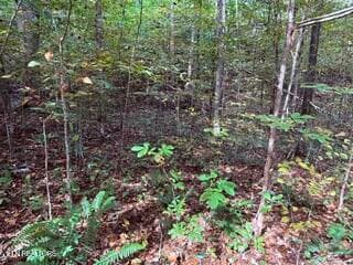Side View - Bates Gibson Rd, Sevierville, TN 37876