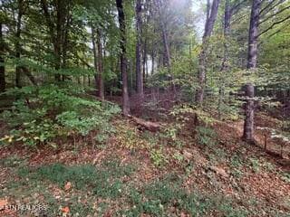 Side View - Bates Gibson Rd, Sevierville, TN 37876