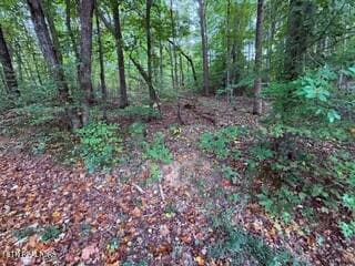 Side View - Bates Gibson Rd, Sevierville, TN 37876