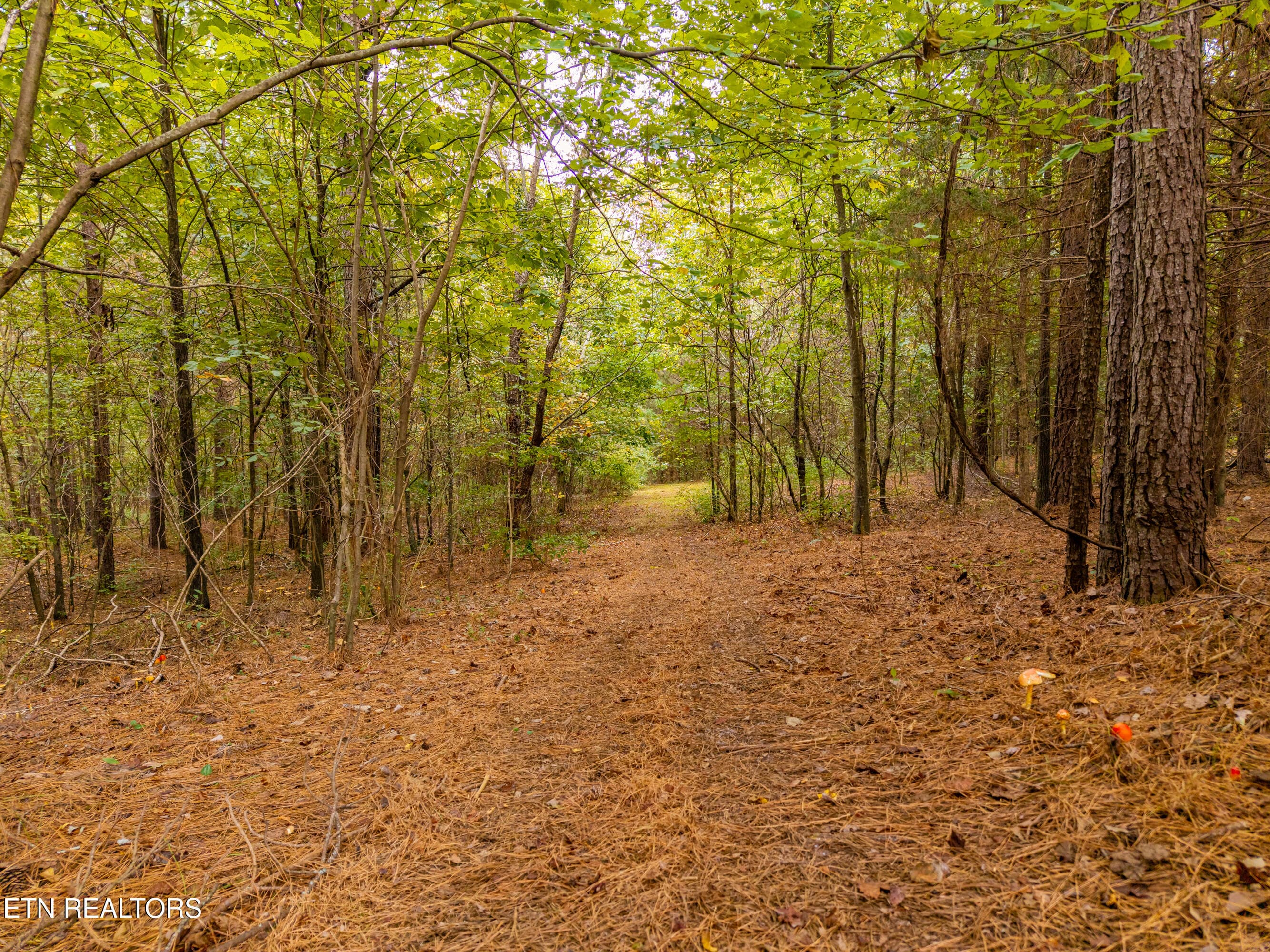 Nature Trail - 1410 Ward Rd, Loudon, TN 37774, Loudon