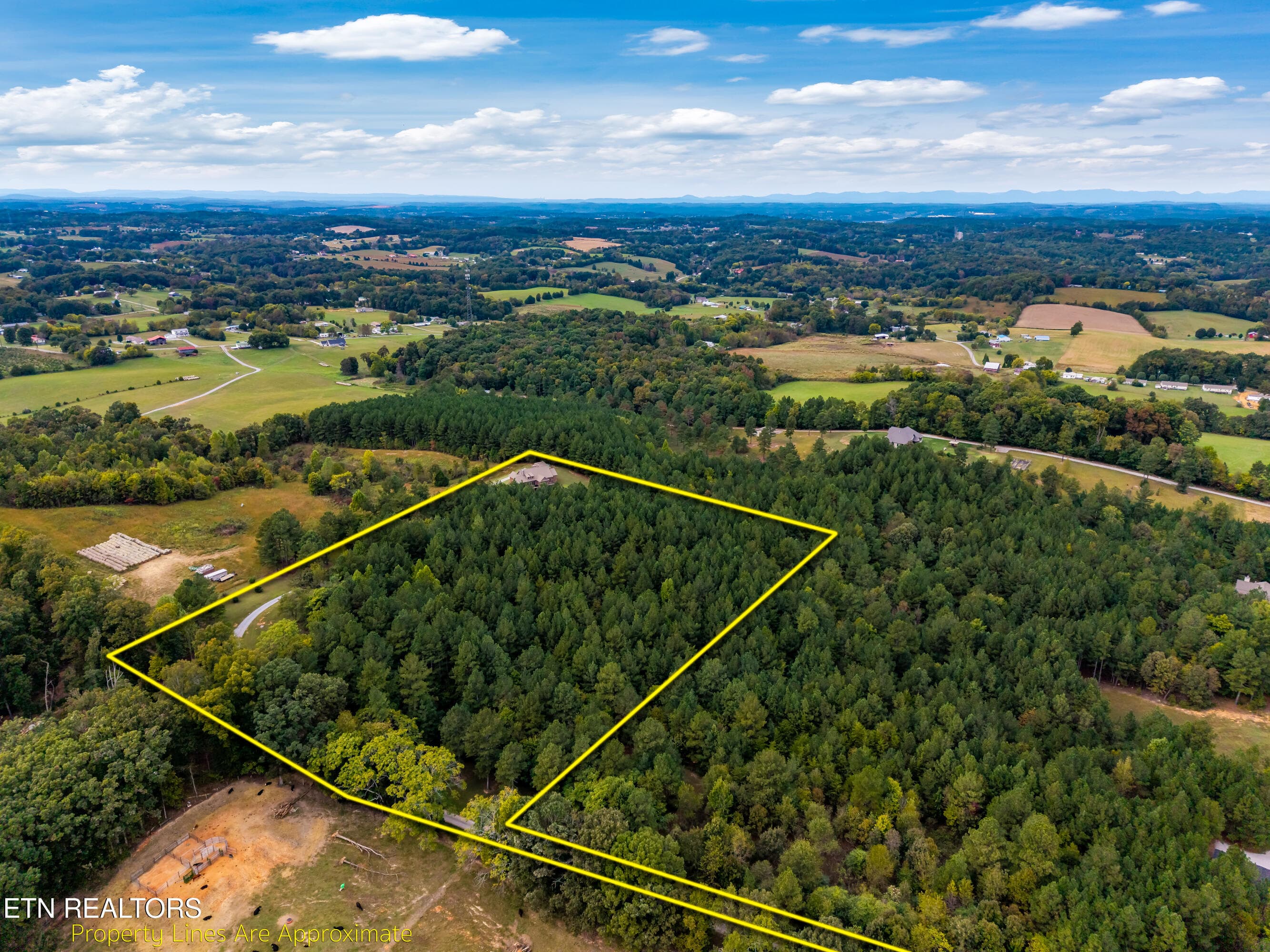Overhead Views - 1410 Ward Rd, Loudon, TN 37774, Loudon
