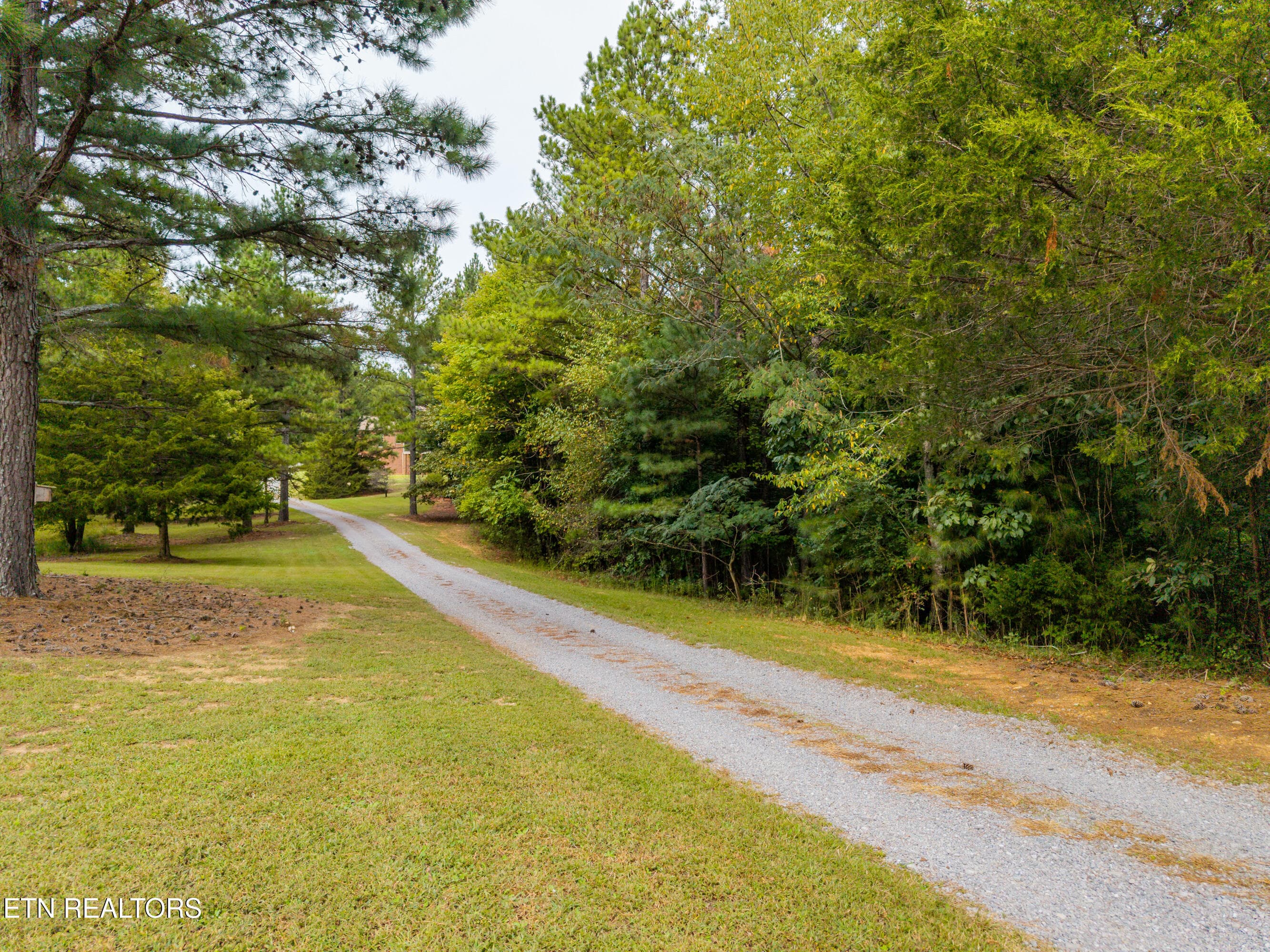 Driveway - 1410 Ward Rd, Loudon, TN 37774, Loudon