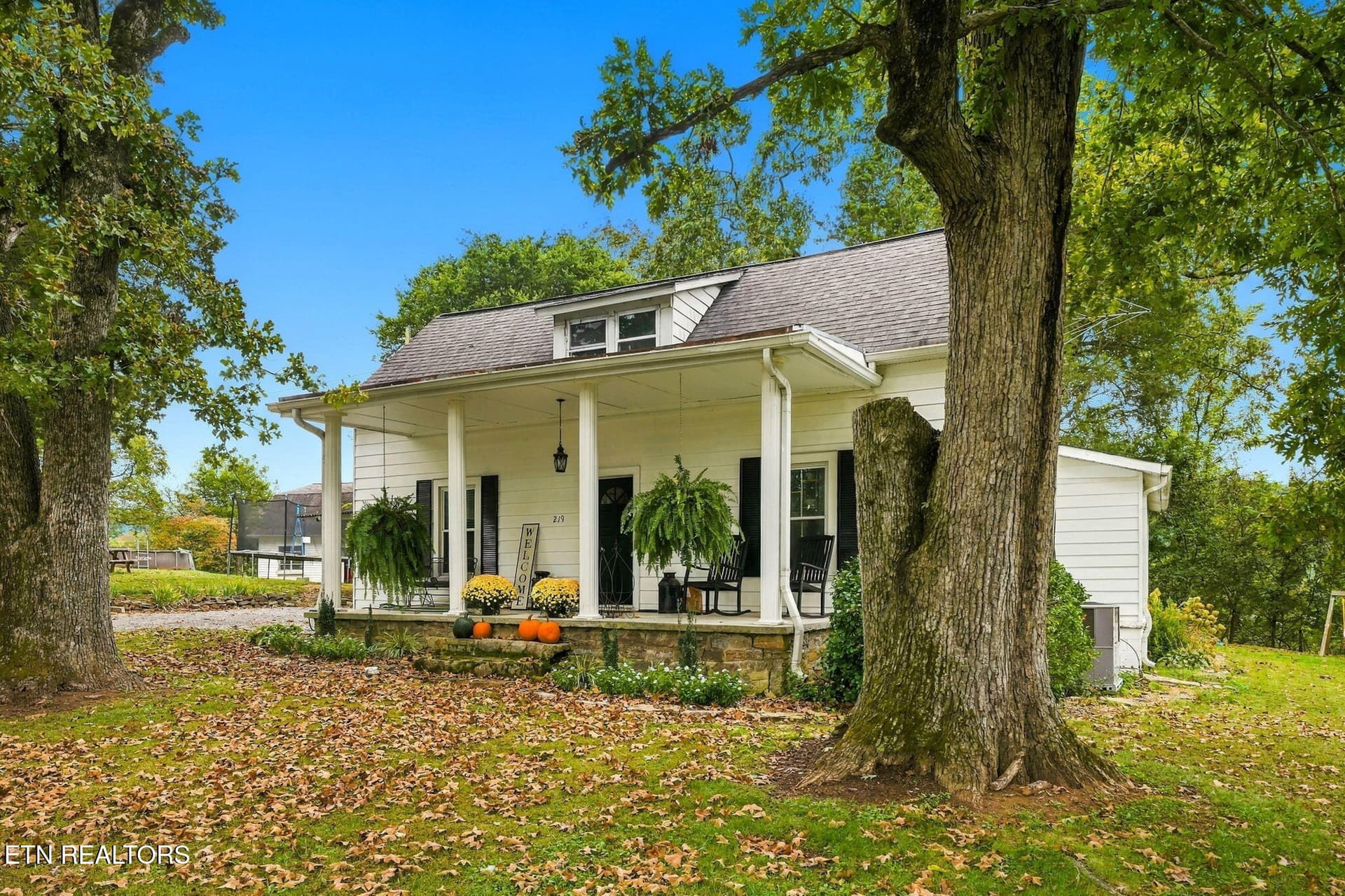 219 Rhodes Rd, New Market, TN 37820