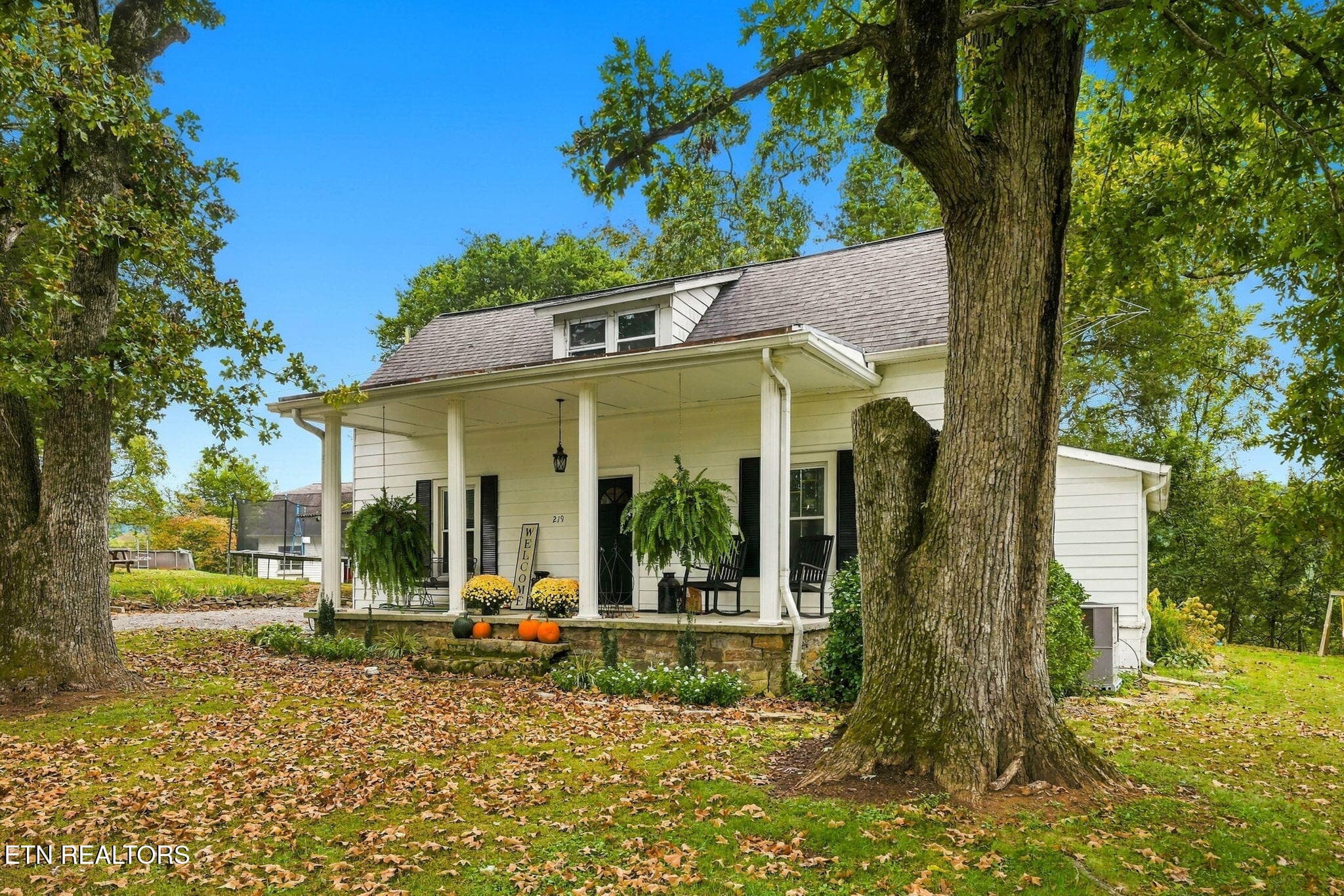 219 Rhodes Rd, New Market, TN 37820