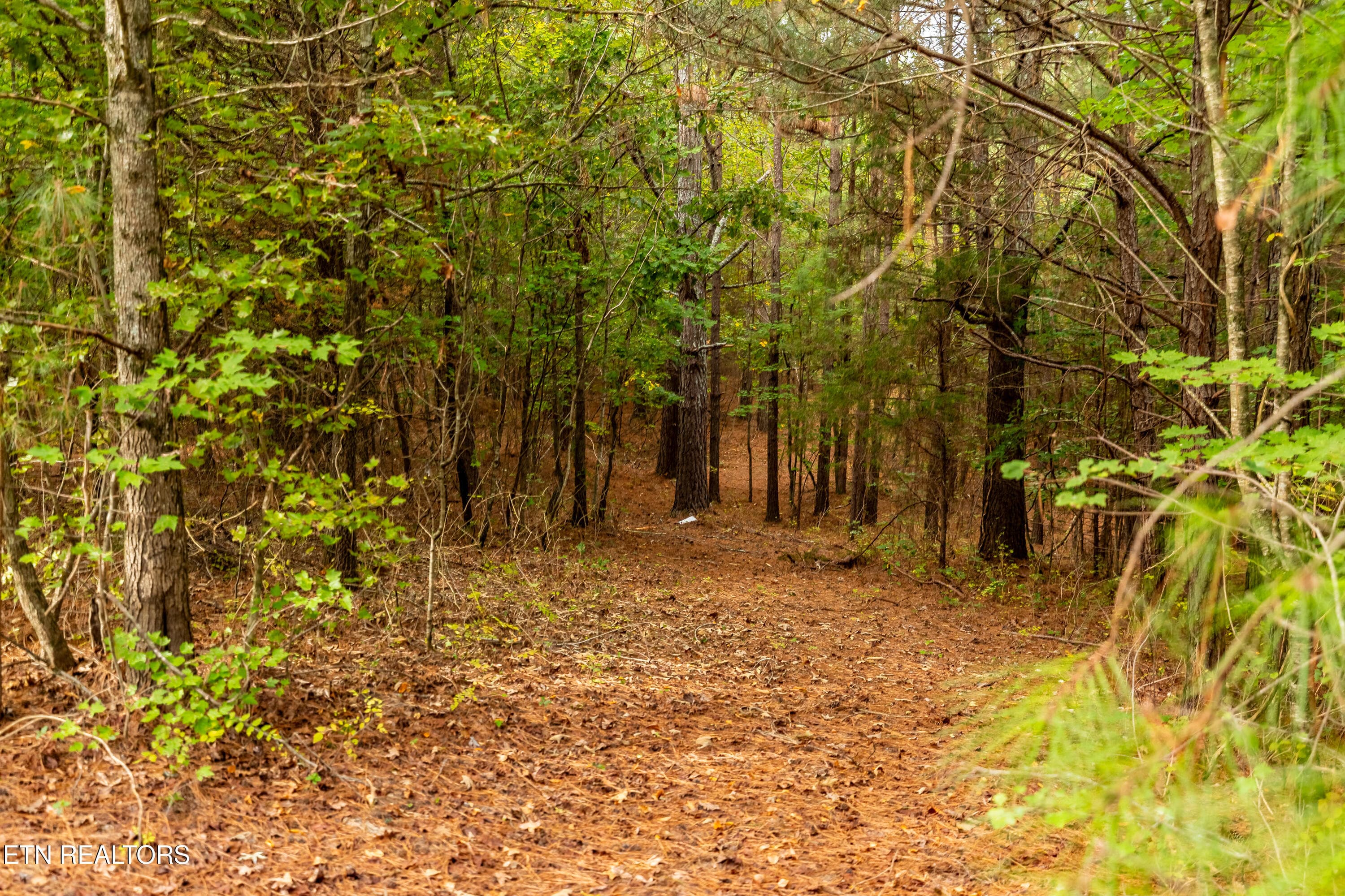 Nature Trail - 1410 Ward Rd, Loudon, TN 37774, Loudon