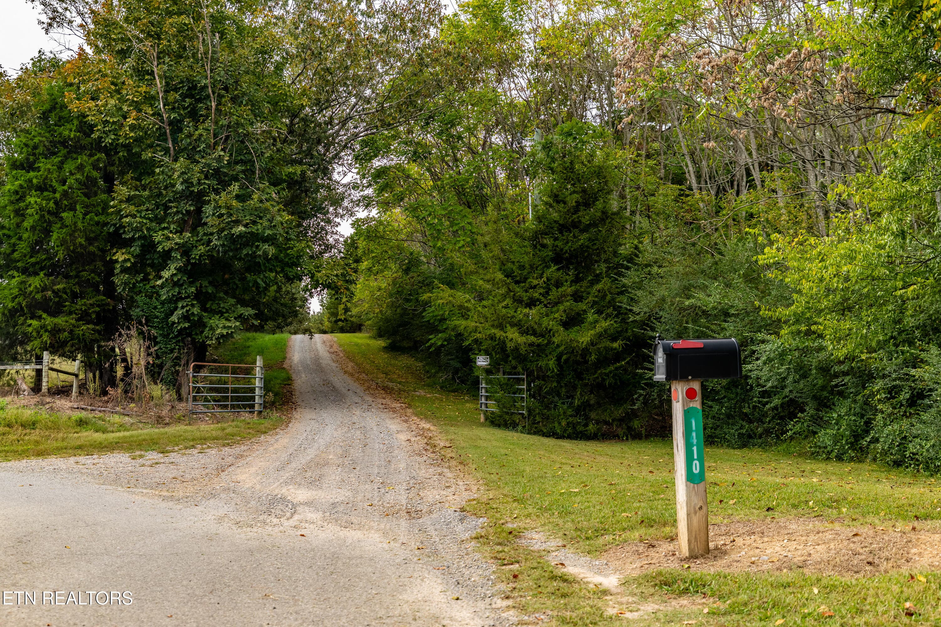 Driveway from Road - 1410 Ward Rd, Loudon, TN 37774, Loudon