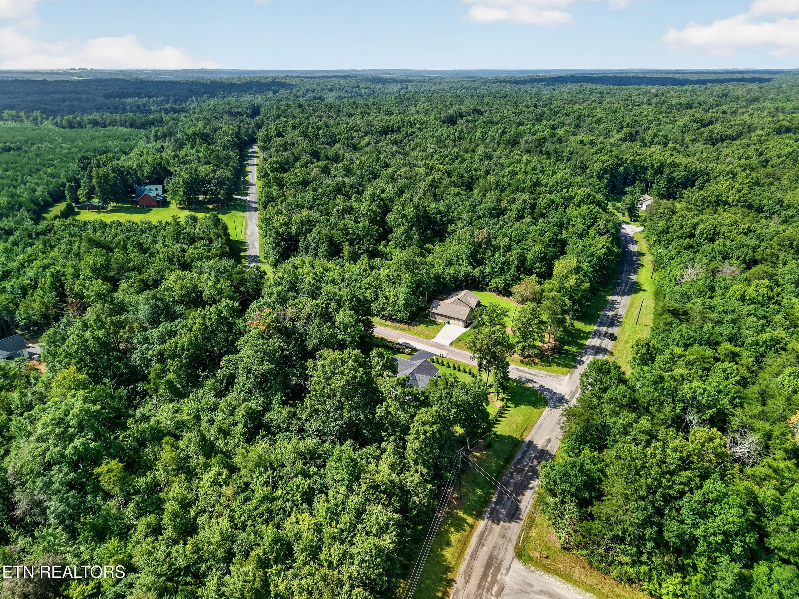 DJI_20260818101216_0014_D - 29 Mountain Ash Drive, Monterey, TN 38574, Monterey