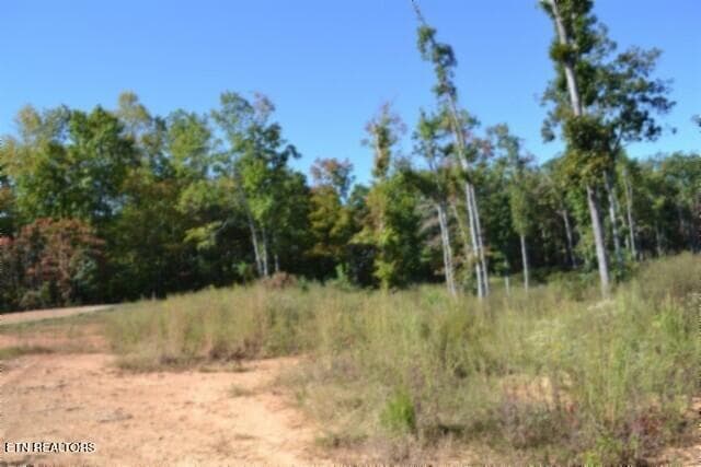 DSC_0058 - 2.62ac NE Rock Springs Rd, Celina, TN 38551, Celina