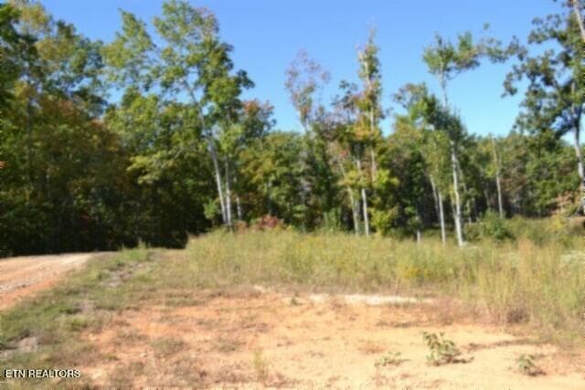 DSC_0067 - 2.62ac NE Rock Springs Rd, Celina, TN 38551, Celina