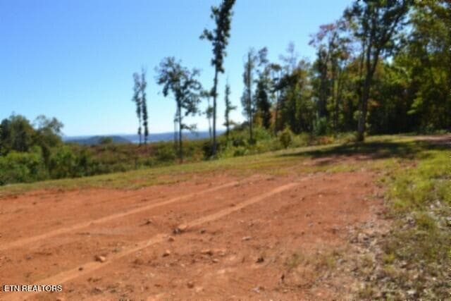 DSC_0082 - 2.62ac NE Rock Springs Rd, Celina, TN 38551, Celina