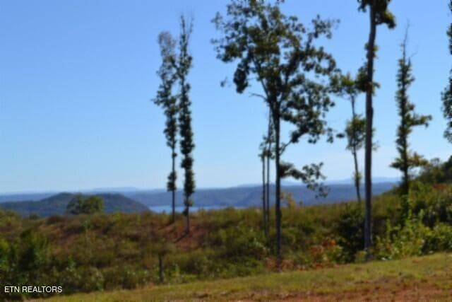 DSC_0083 - 2.62ac NE Rock Springs Rd, Celina, TN 38551, Celina
