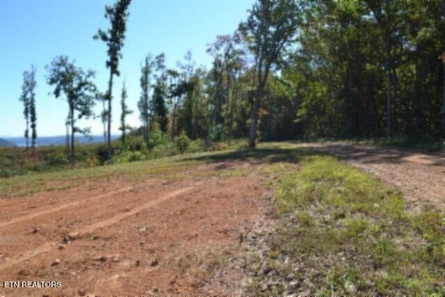DSC_0085 - 2.62ac NE Rock Springs Rd, Celina, TN 38551, Celina