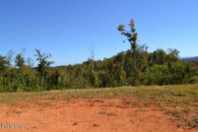 DSC_0086 - 2.62ac NE Rock Springs Rd, Celina, TN 38551, Celina