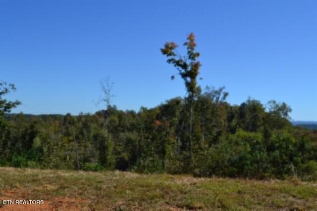 DSC_0087 - 2.62ac NE Rock Springs Rd, Celina, TN 38551, Celina