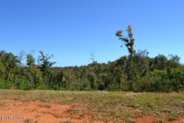 DSC_0090 - 2.62ac NE Rock Springs Rd, Celina, TN 38551, Celina