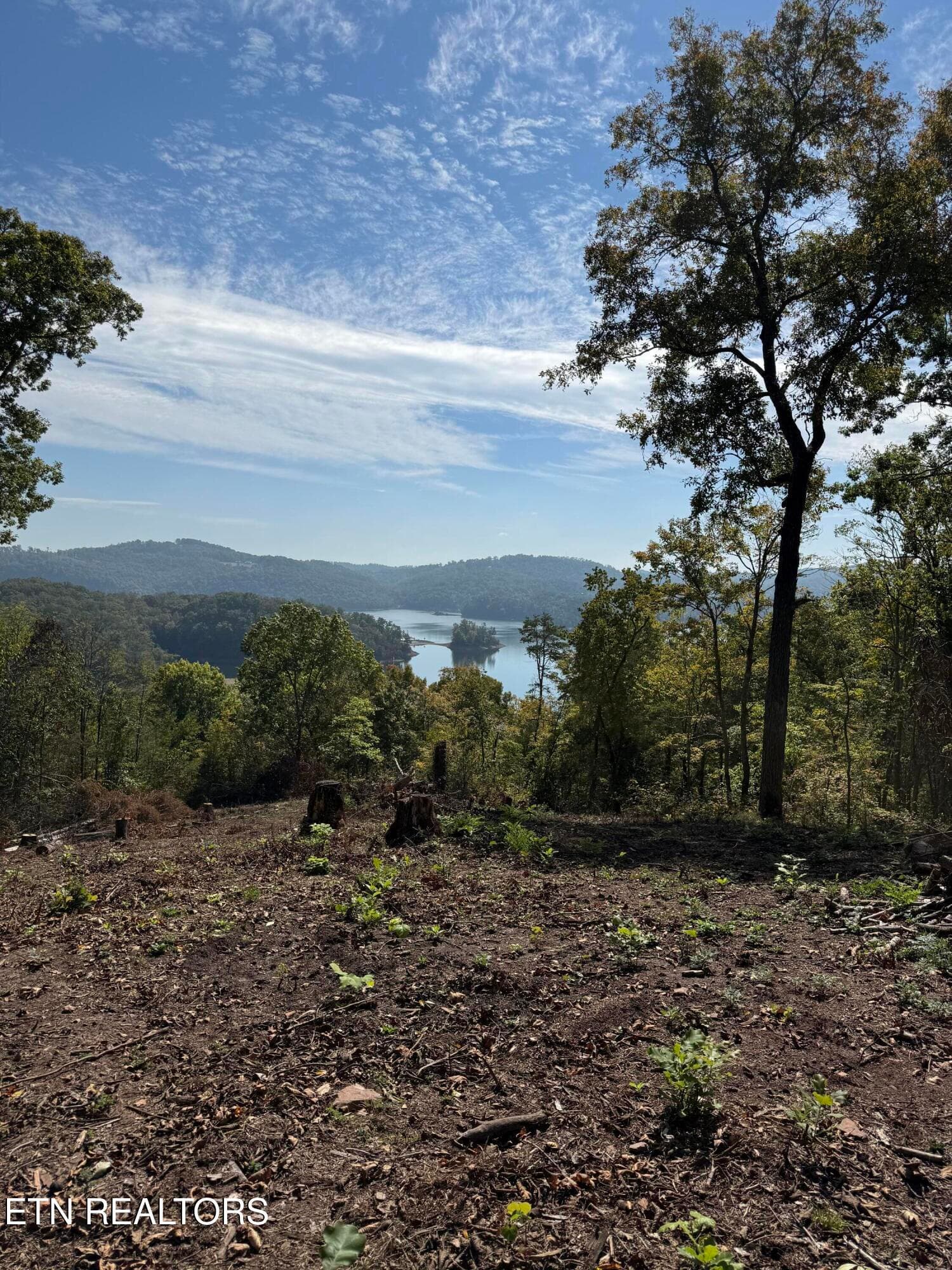 IMG_0576 - Lot 264 Lakeview Drive, Sharps Chapel, TN 37866