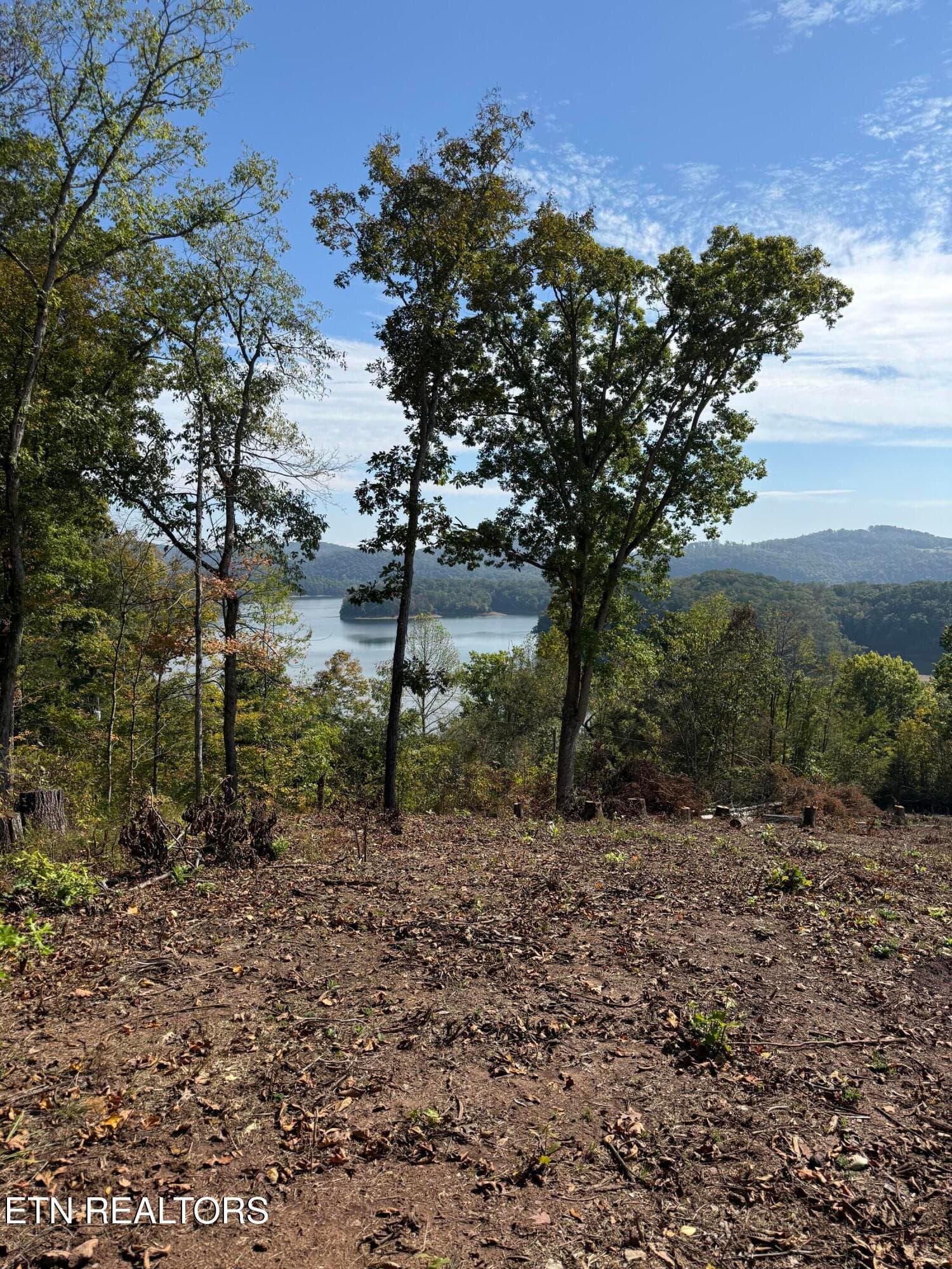 IMG_0577 - Lot 264 Lakeview Drive, Sharps Chapel, TN 37866