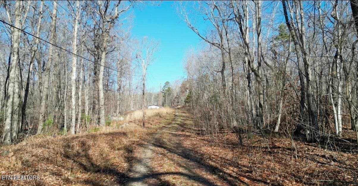 65 Log Rd 1024 Dr, Spring City, TN 37381