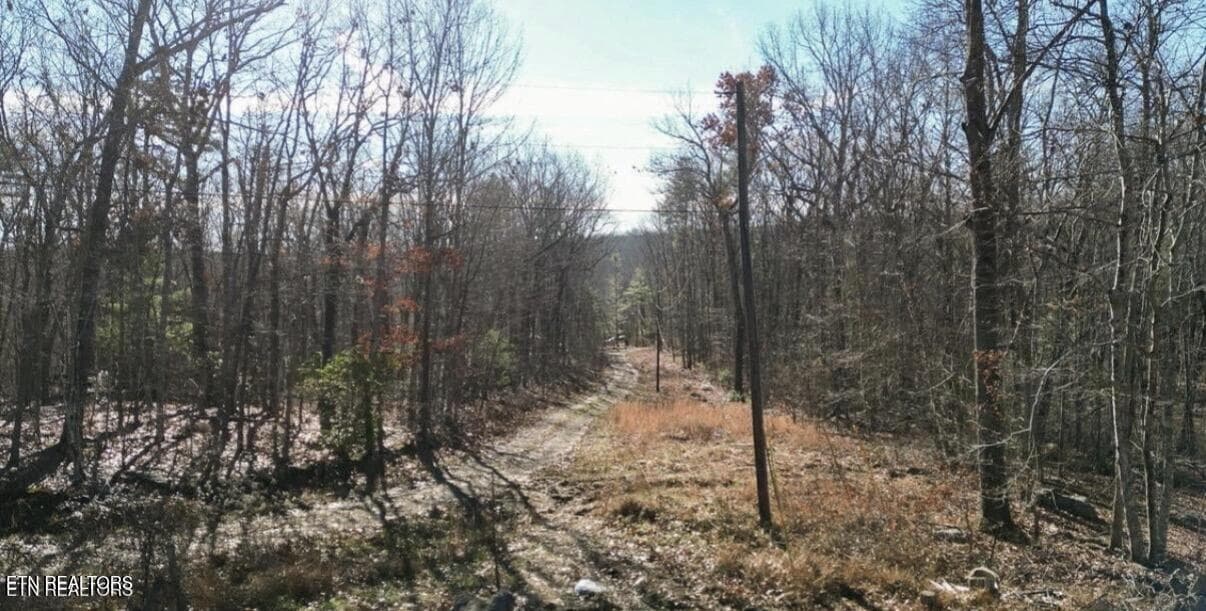 Screenshot 2026-04-08 at 11.19.48 AM - 65 Log Rd 1024 Dr, Spring City, TN 37381, Spring City