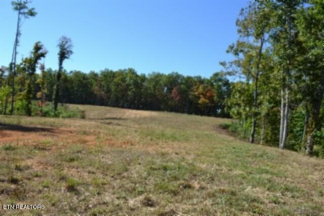 11.27ac NE Rock Springs Rd, Celina, TN 38551