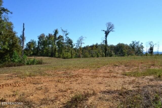 DSC_0013 - 11.27ac NE Rock Springs Rd, Celina, TN 38551, Celina