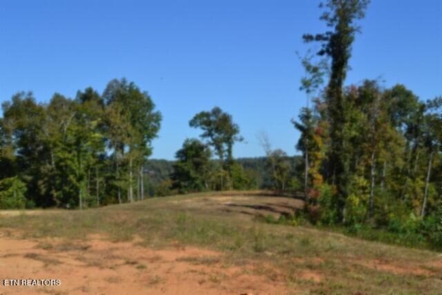 DSC_0103 - 11.27ac NE Rock Springs Rd, Celina, TN 38551, Celina
