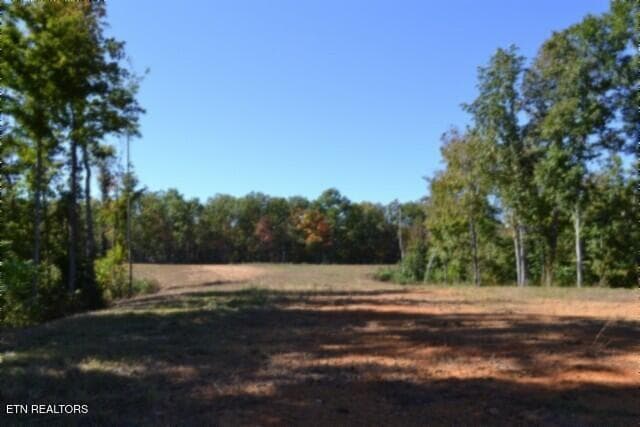 DSC_0118 - 11.27ac NE Rock Springs Rd, Celina, TN 38551, Celina