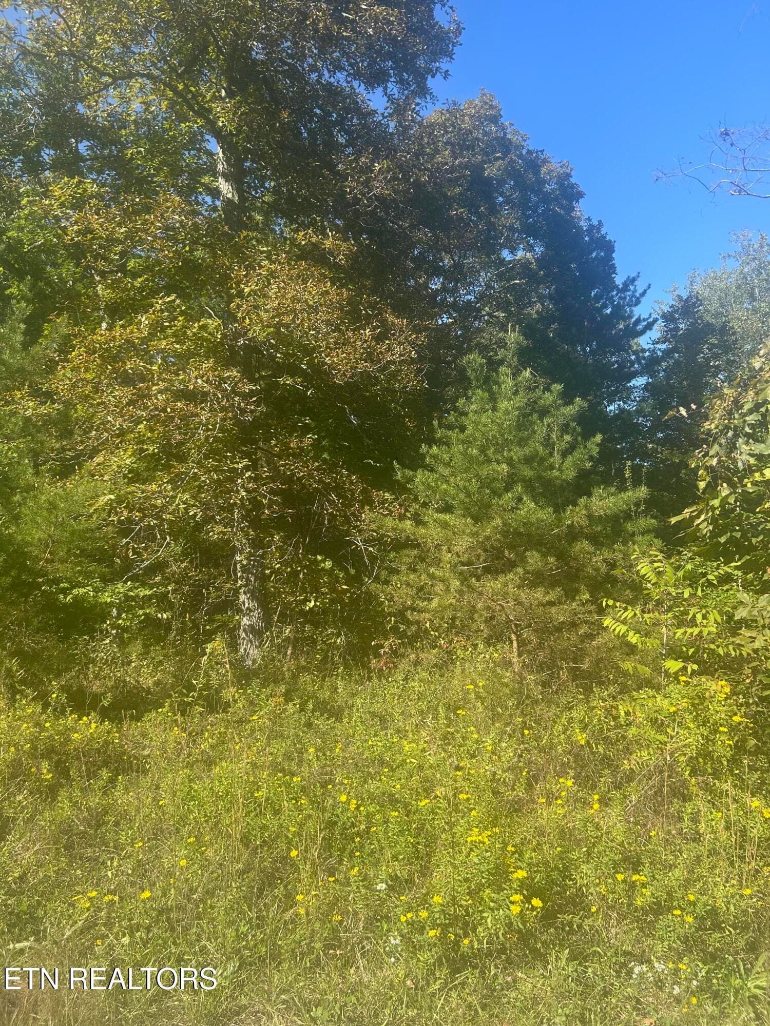 Timothy Drive, Crossville, TN 38572