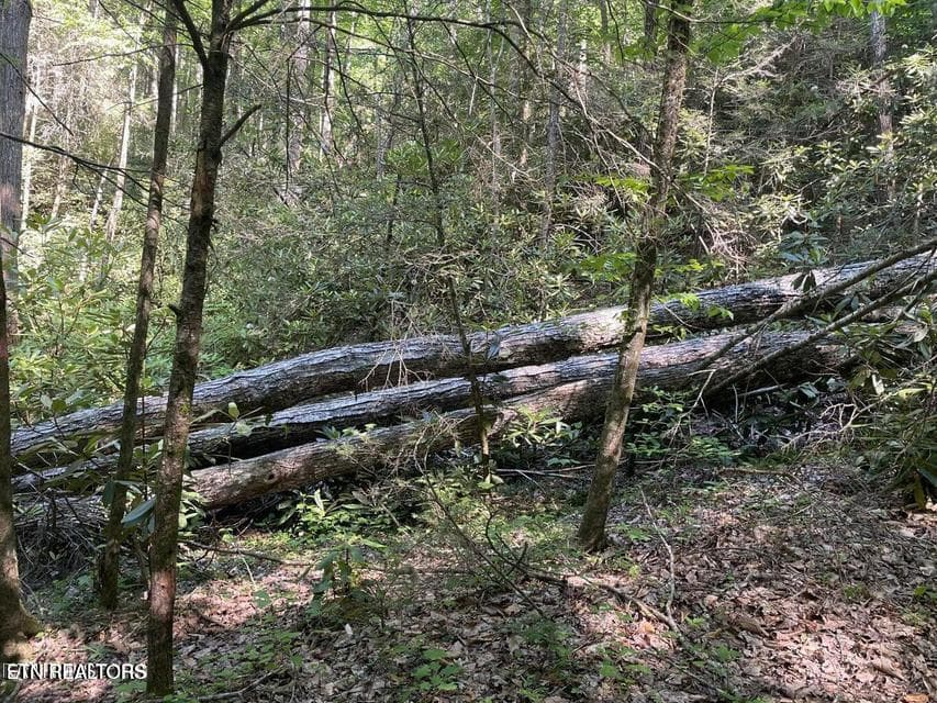 SS1 - Lot 19 Sycamore St, Sevierville, TN 37876