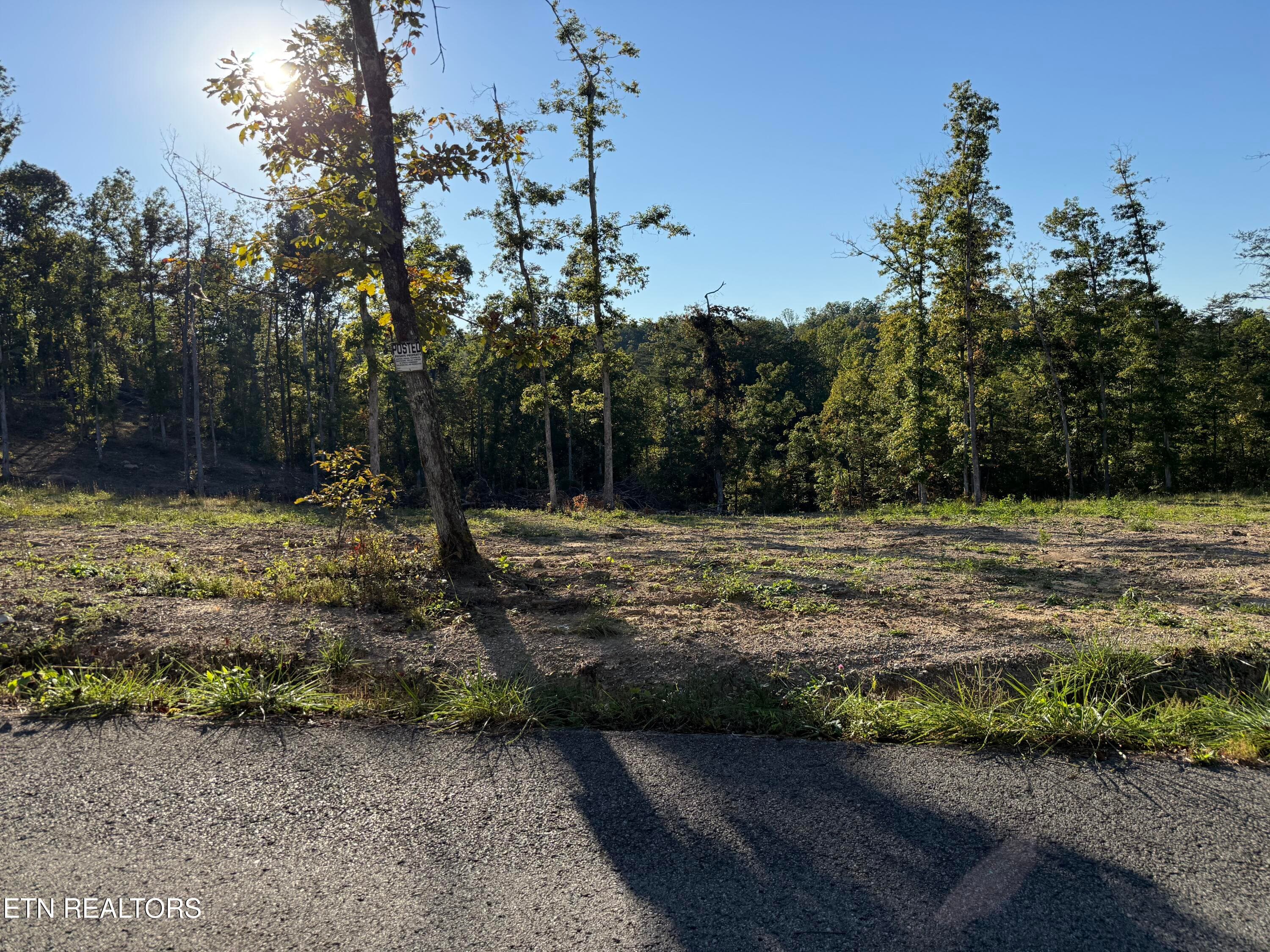 1274 Vine Ridge Rd, Wilder, TN 38589