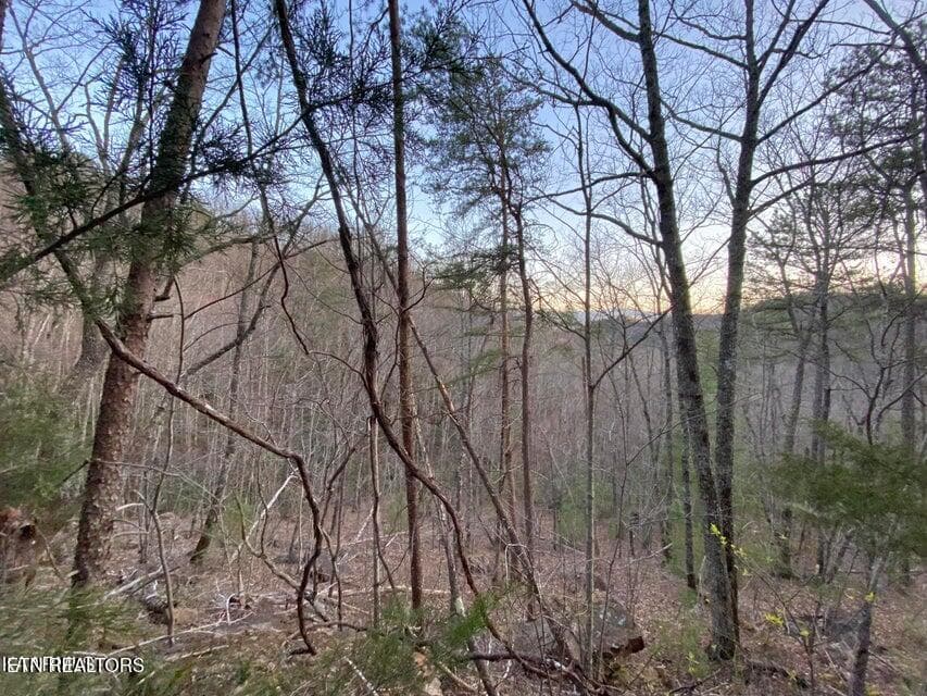 BS - Lot 27 Beechwood St, Sevierville, TN 37876, Sevierville