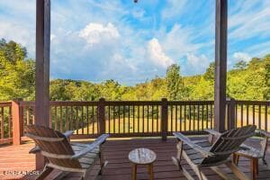 View from deck - 1728 Stone Bridge Drive, Dandridge, TN 37725