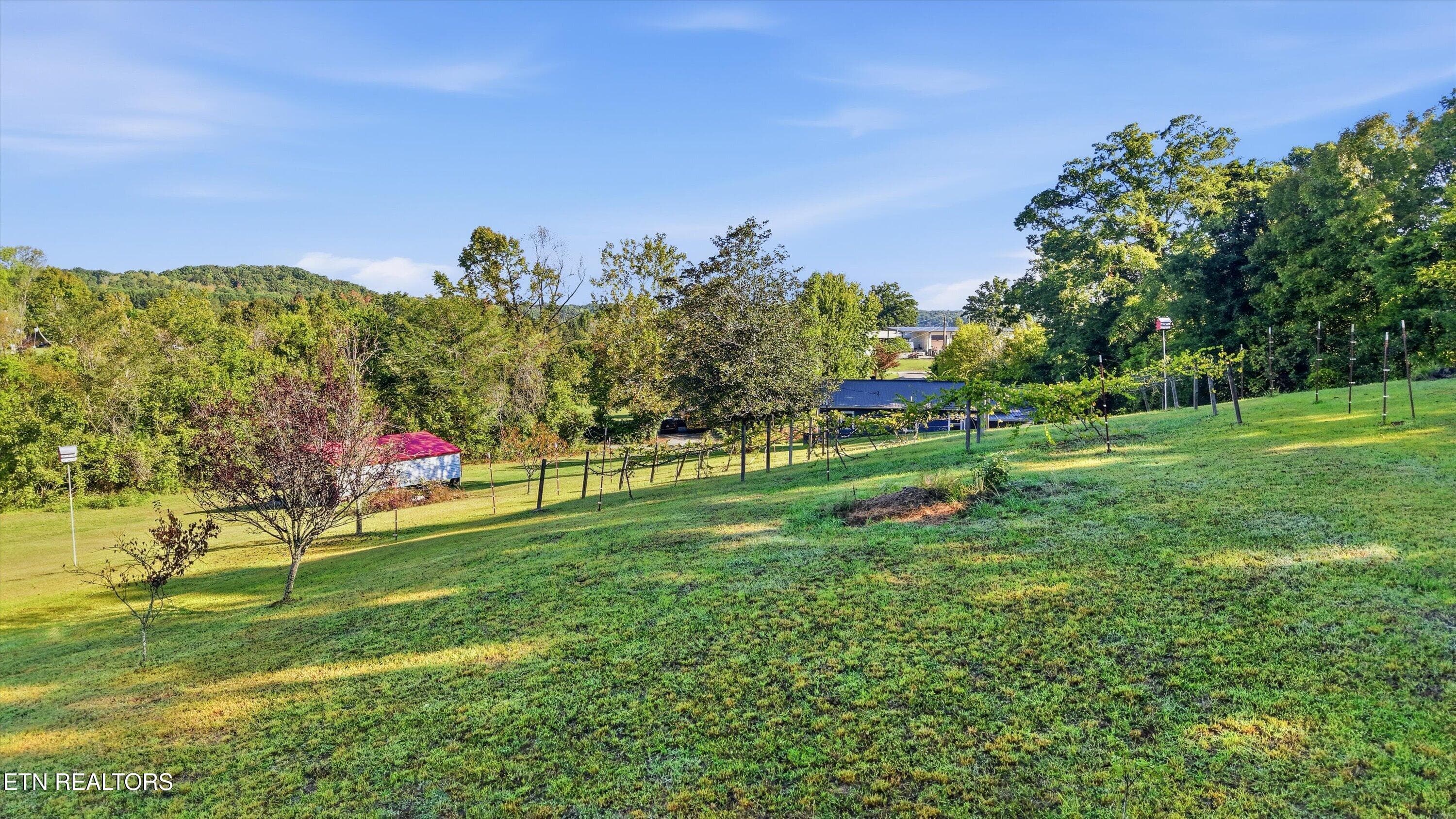 46-111 Cathcart Rd [3482465]-020 - 111 Cathcart Rd, Vonore, TN 37885, Vonore
