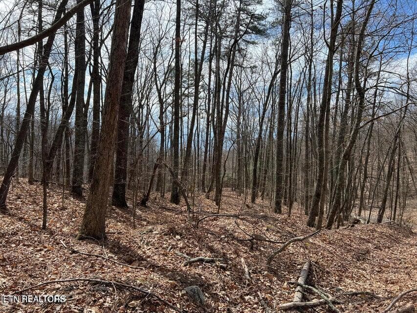 SS10 - Swann Saddle, Sevierville, TN 37876, Sevierville