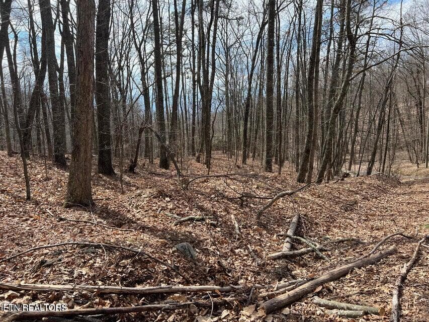 SS9 - Swann Saddle, Sevierville, TN 37876, Sevierville