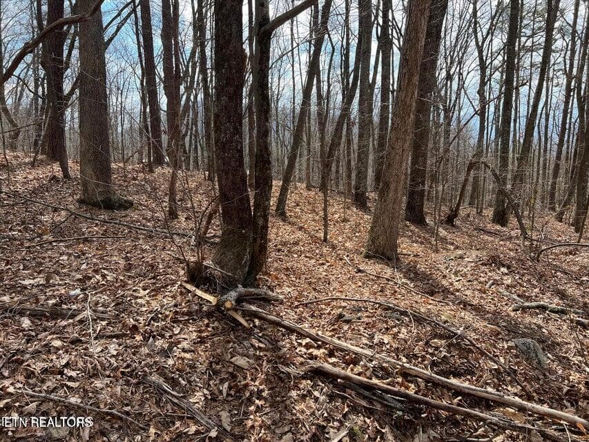 SS8 - Swann Saddle, Sevierville, TN 37876, Sevierville