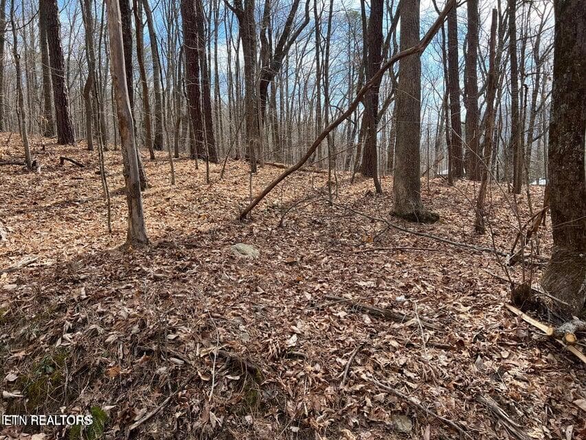 SS7 - Swann Saddle, Sevierville, TN 37876, Sevierville
