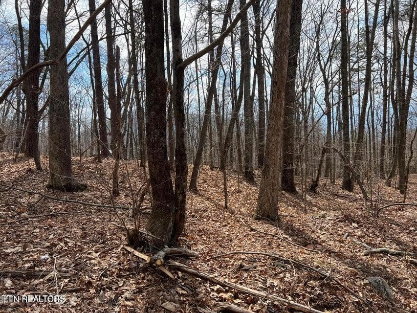 SS6 - Swann Saddle, Sevierville, TN 37876, Sevierville