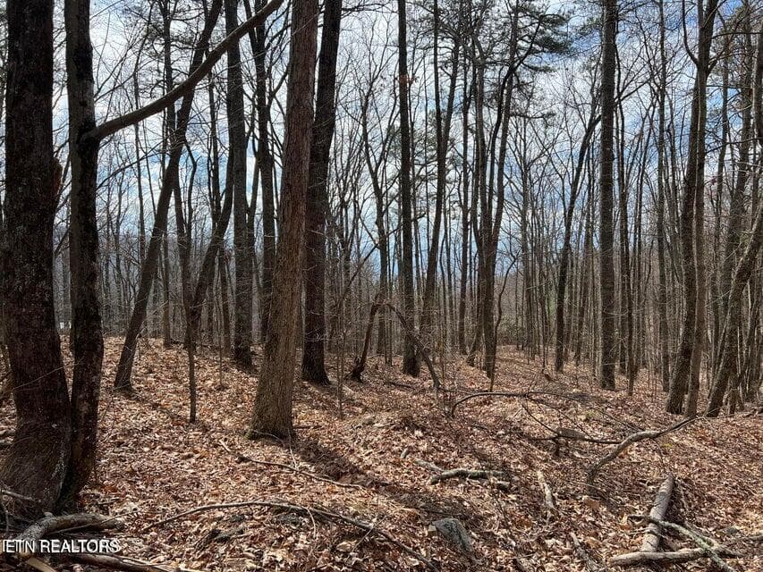 SS5 - Swann Saddle, Sevierville, TN 37876, Sevierville