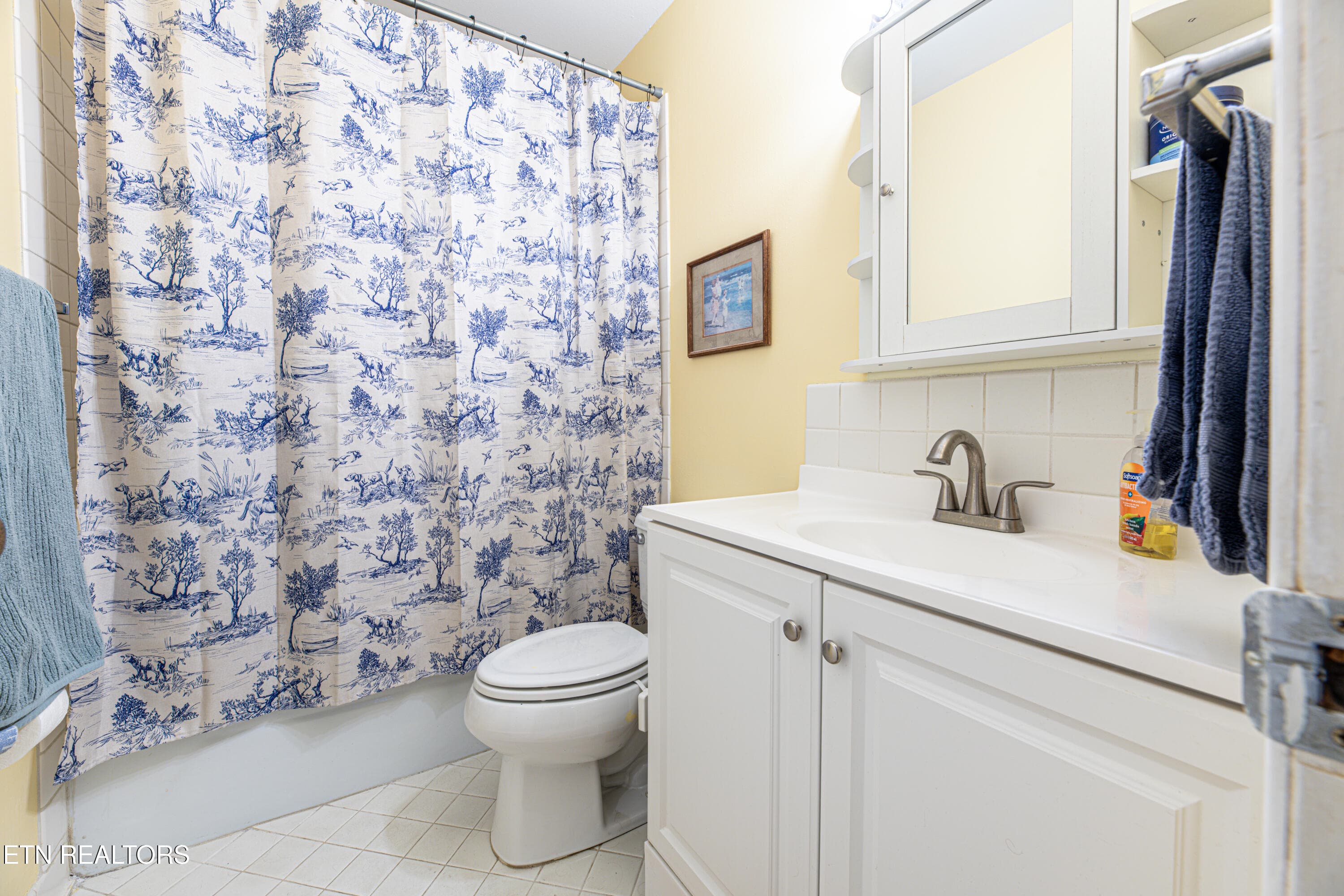 Master Bath - 3636 Taliluna Ave 618, Knoxville, TN 37919, Knoxville