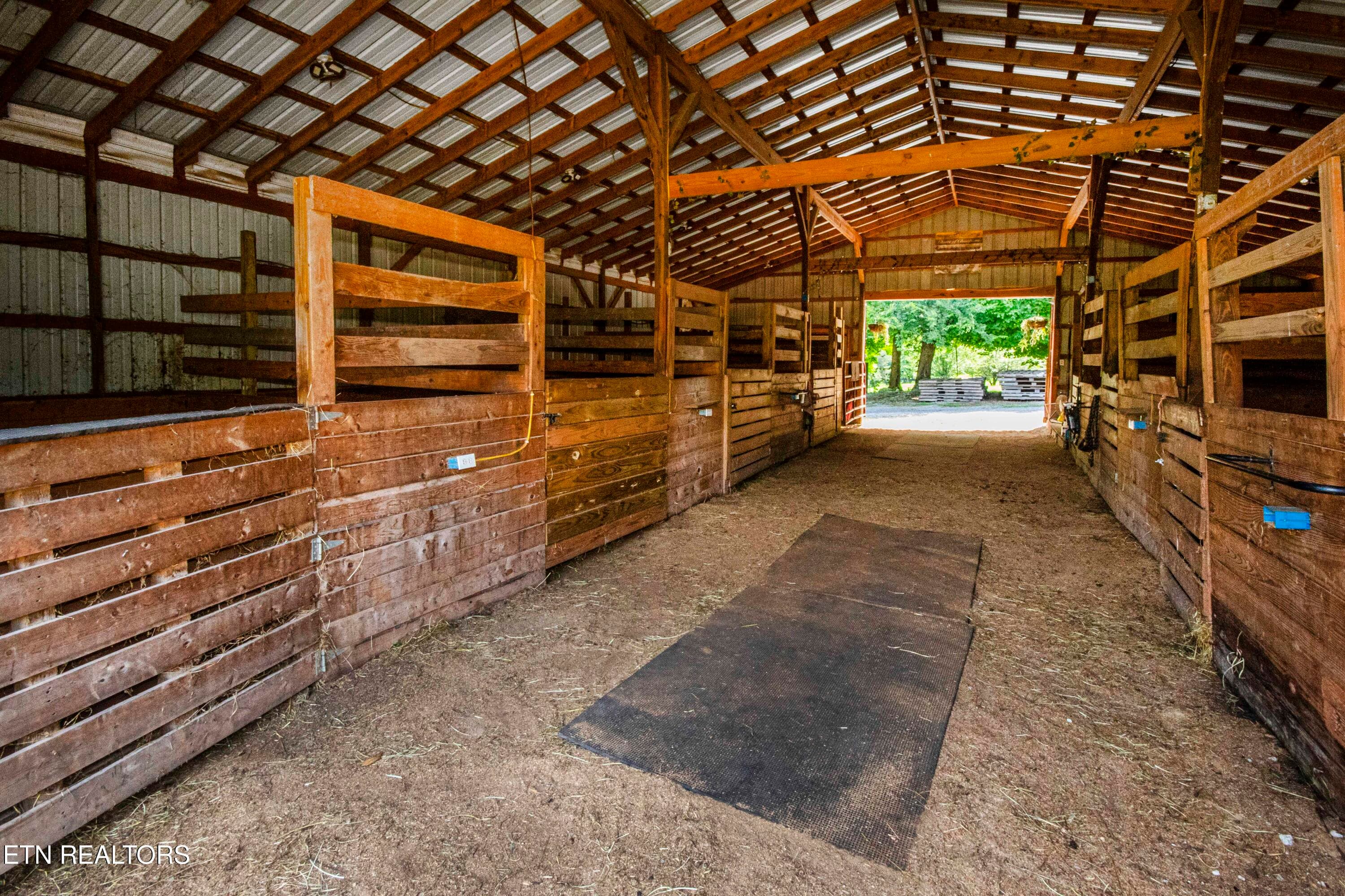 V19A4224 - 598 Griffith Branch Rd, Madisonville, TN 37354, Madisonville