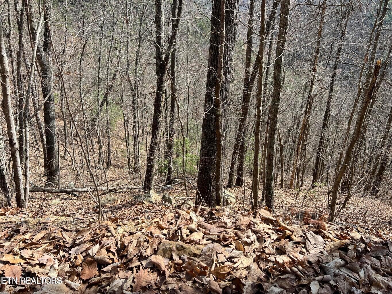 AT9 - Aintree Drive 26, Sevierville, TN 37876