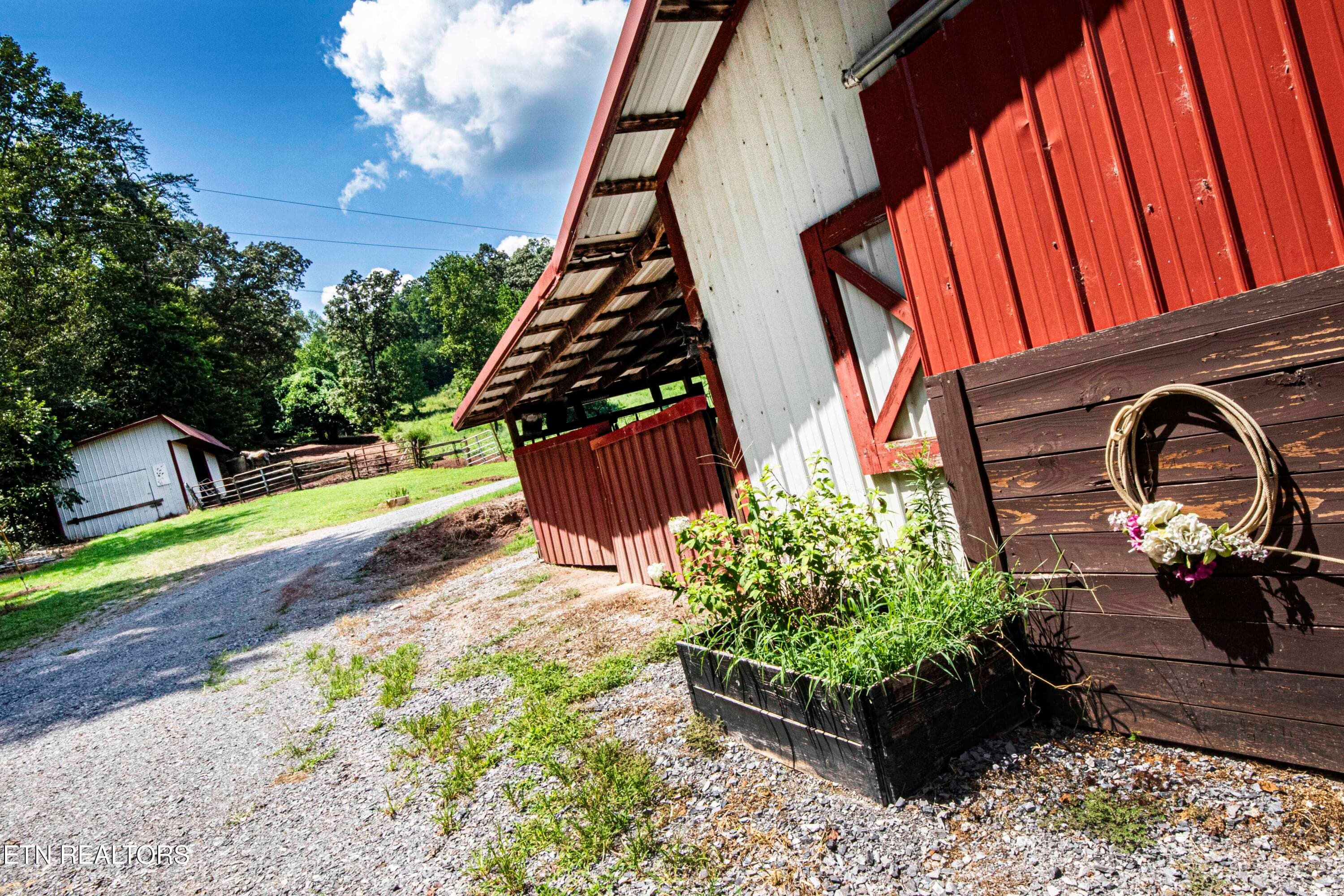 V19A4260 - 598 Griffith Branch Rd, Madisonville, TN 37354, Madisonville