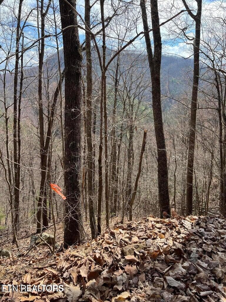 AT6 - Aintree Drive 26, Sevierville, TN 37876