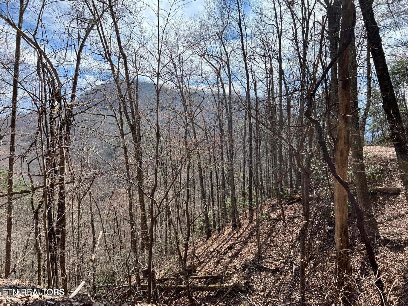 AT5 - Aintree Drive 26, Sevierville, TN 37876