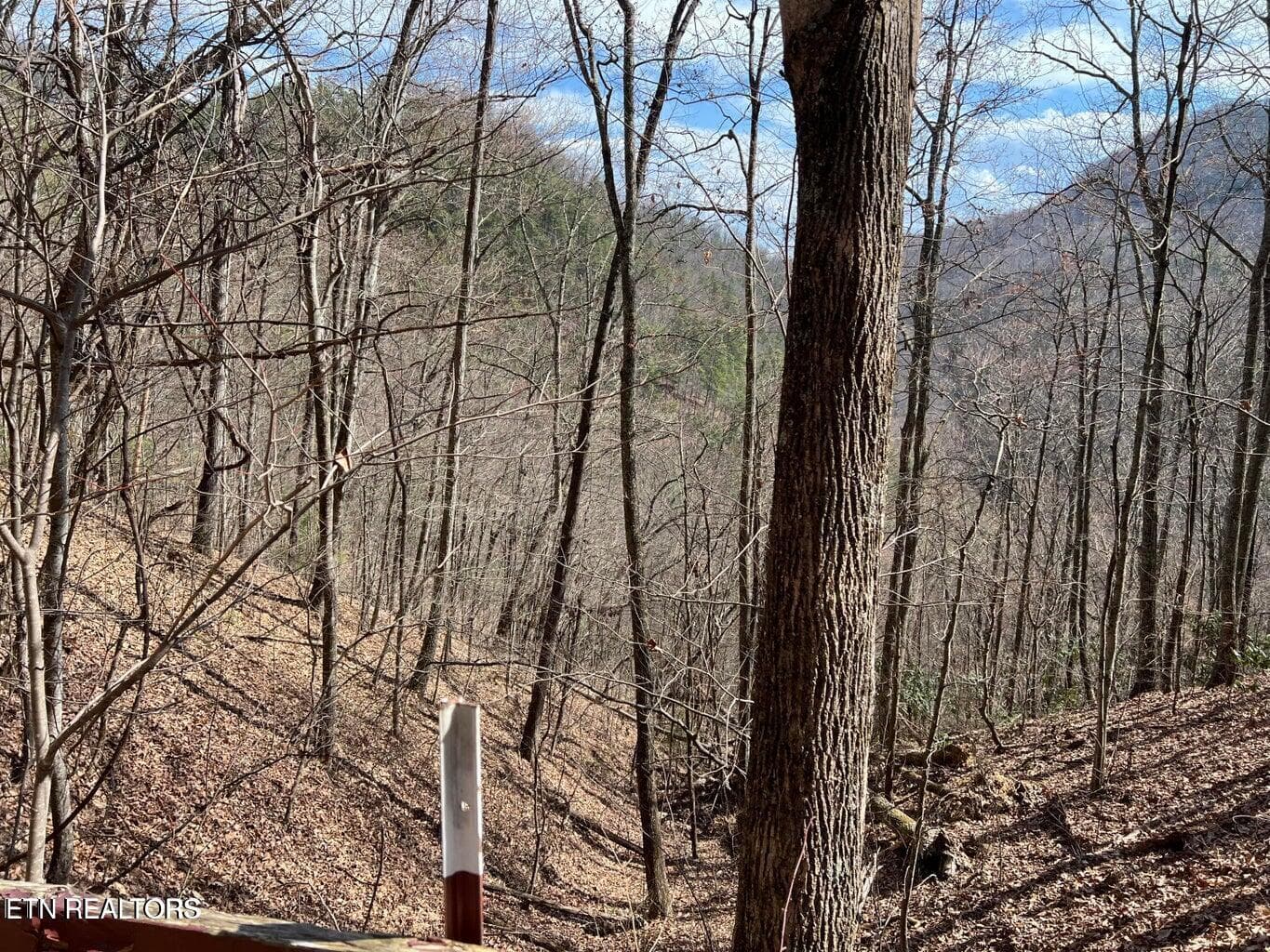 AT3 - Aintree Drive 26, Sevierville, TN 37876