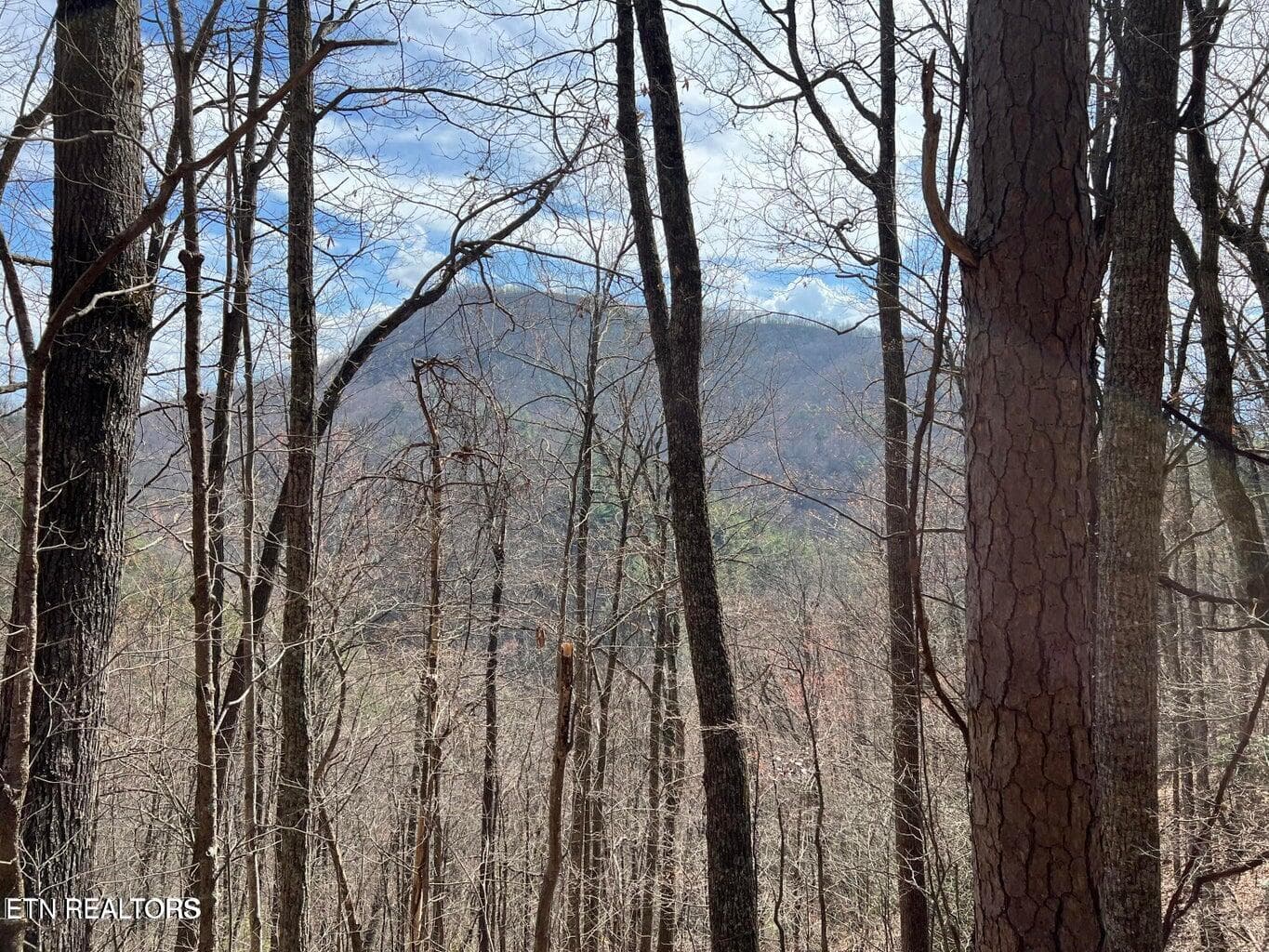 Aintree Drive 26, Sevierville, TN 37876