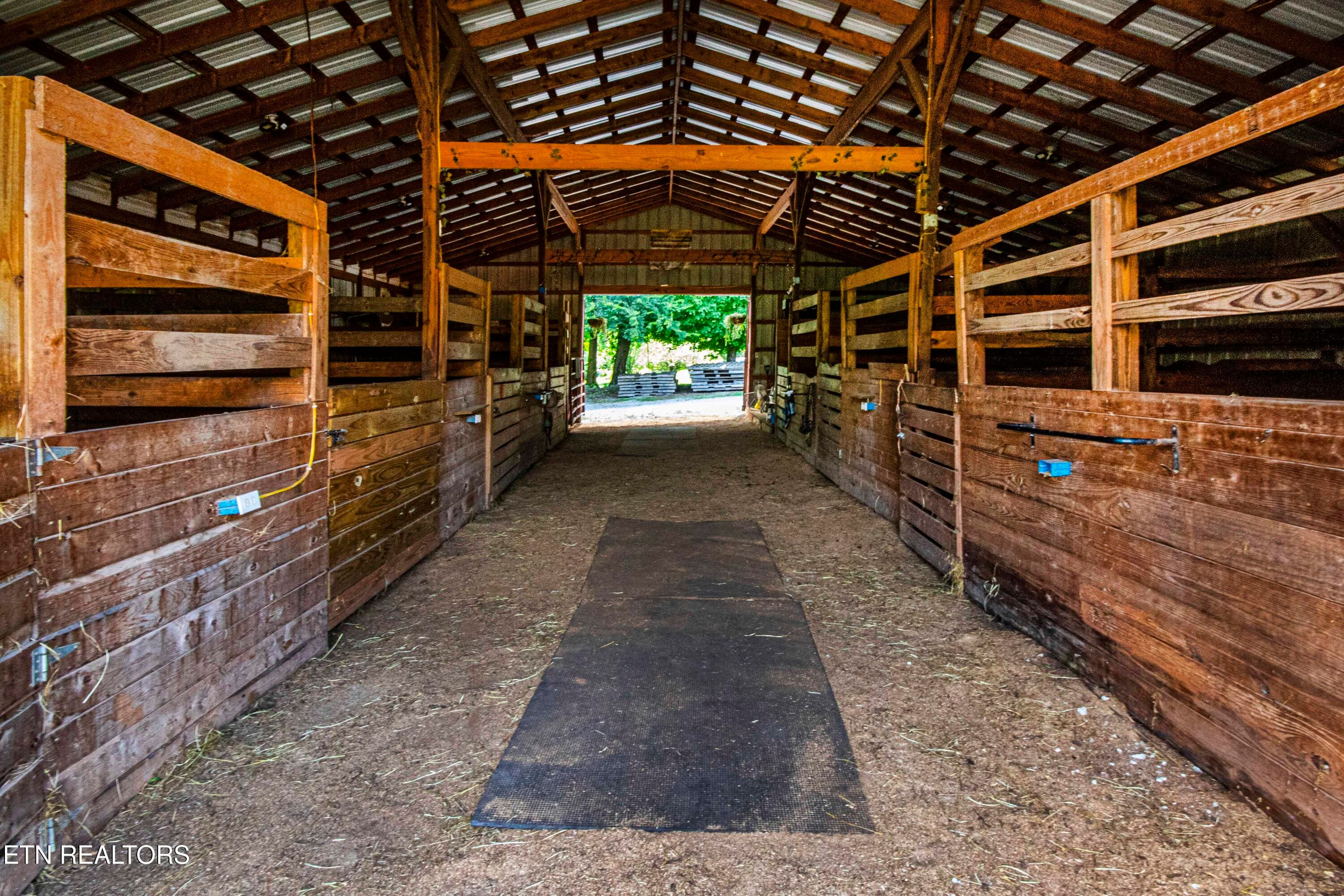 V19A4222 - 598 Griffith Branch Rd, Madisonville, TN 37354, Madisonville