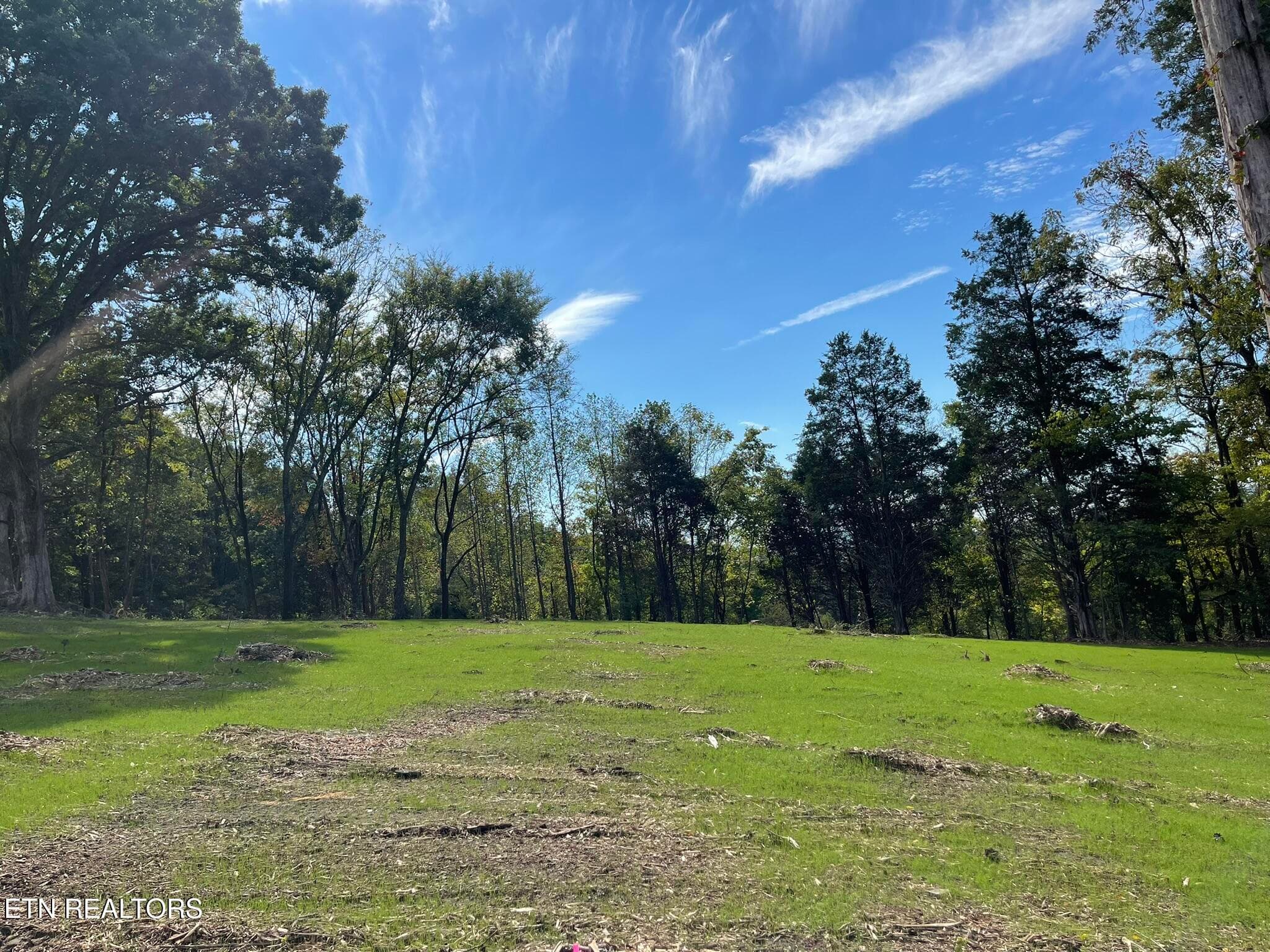 IMG_1331 - Williams Bend Rd Lot 2, Knoxville, TN 37932